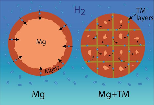Схема распределения водорода в обычных частицах магния (слева) и частицах, легированных железом (изображение NIST).