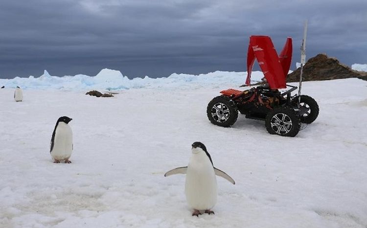 Удивление пингвинов можно понять: это первый ровер с эоловым источником энергии, который они увидели. Впрочем, не только они. (Здесь и ниже фото UGE.)