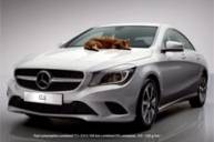 Mercedes рекламирует модель cla с помощью ленивого кота