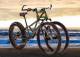 Трицикл для внедорожной езды rungu