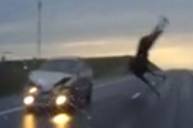 ДТП с участием лося попало в кадр видеорегистратора